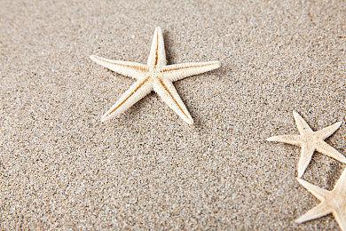 《索尼克：未知边境》Steam土阿区涨价 国区变成最低价区